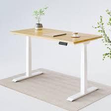 Sit and Stand Desk