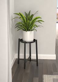 Single Plant Stand